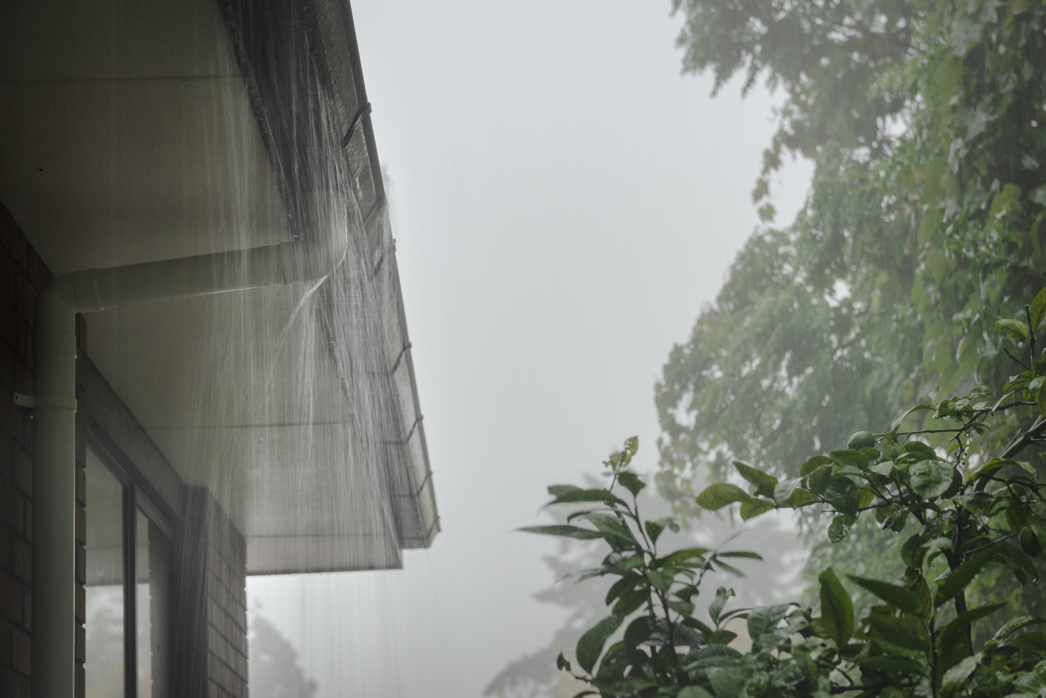Why Ignoring Your Gutters Could Cost You a Roof (and How to Fix It Without the Gamble)