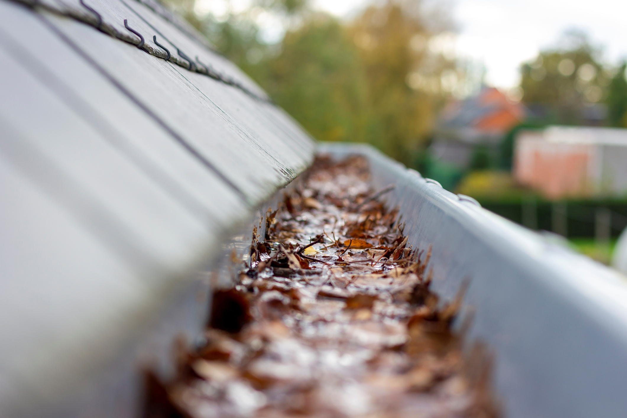 Clean Gutters, Healthy Home: Preventing Mould and Damp Issues
