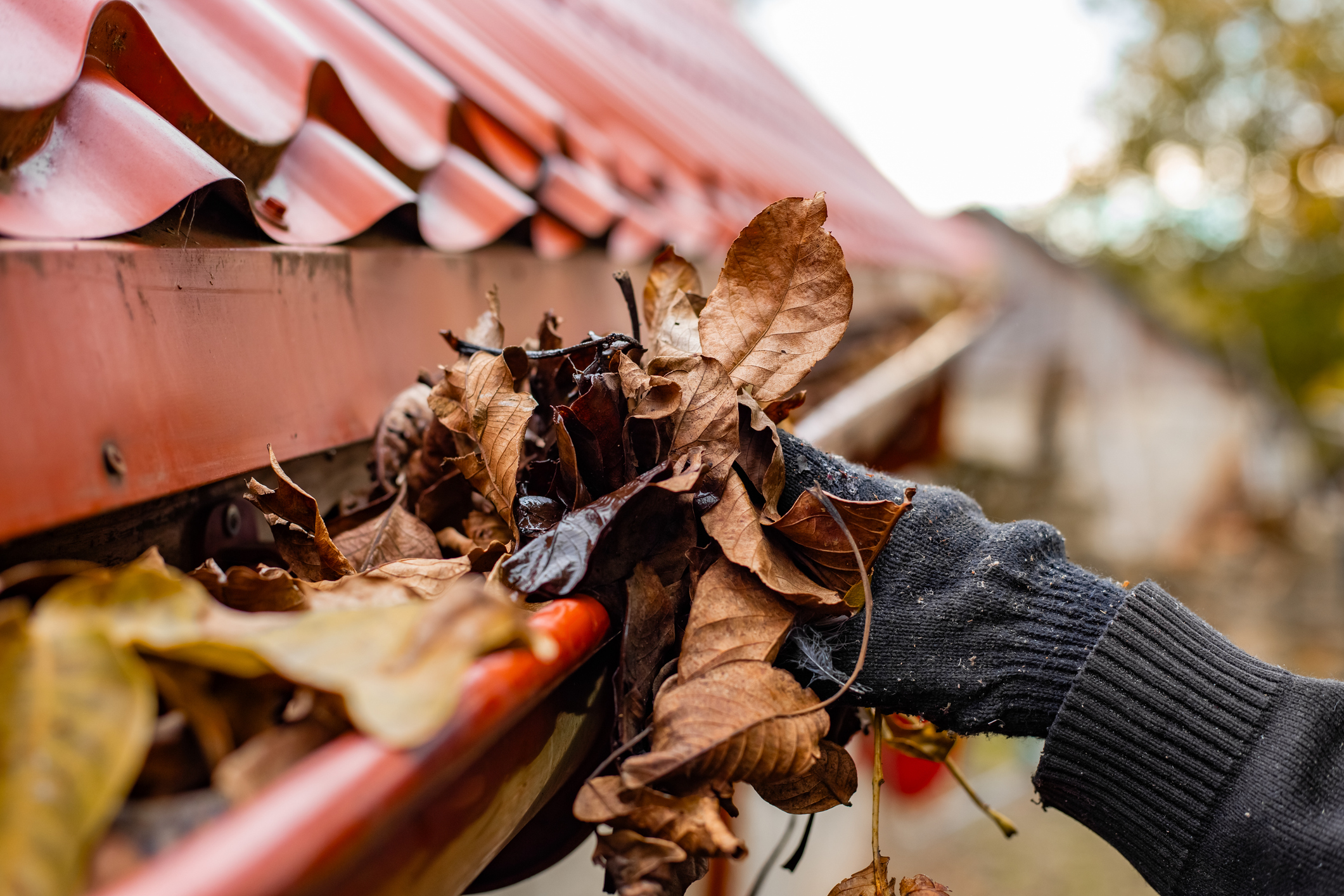 First-Time Homeowner's Essential Maintenance Guide: What to Prioritize in Year One