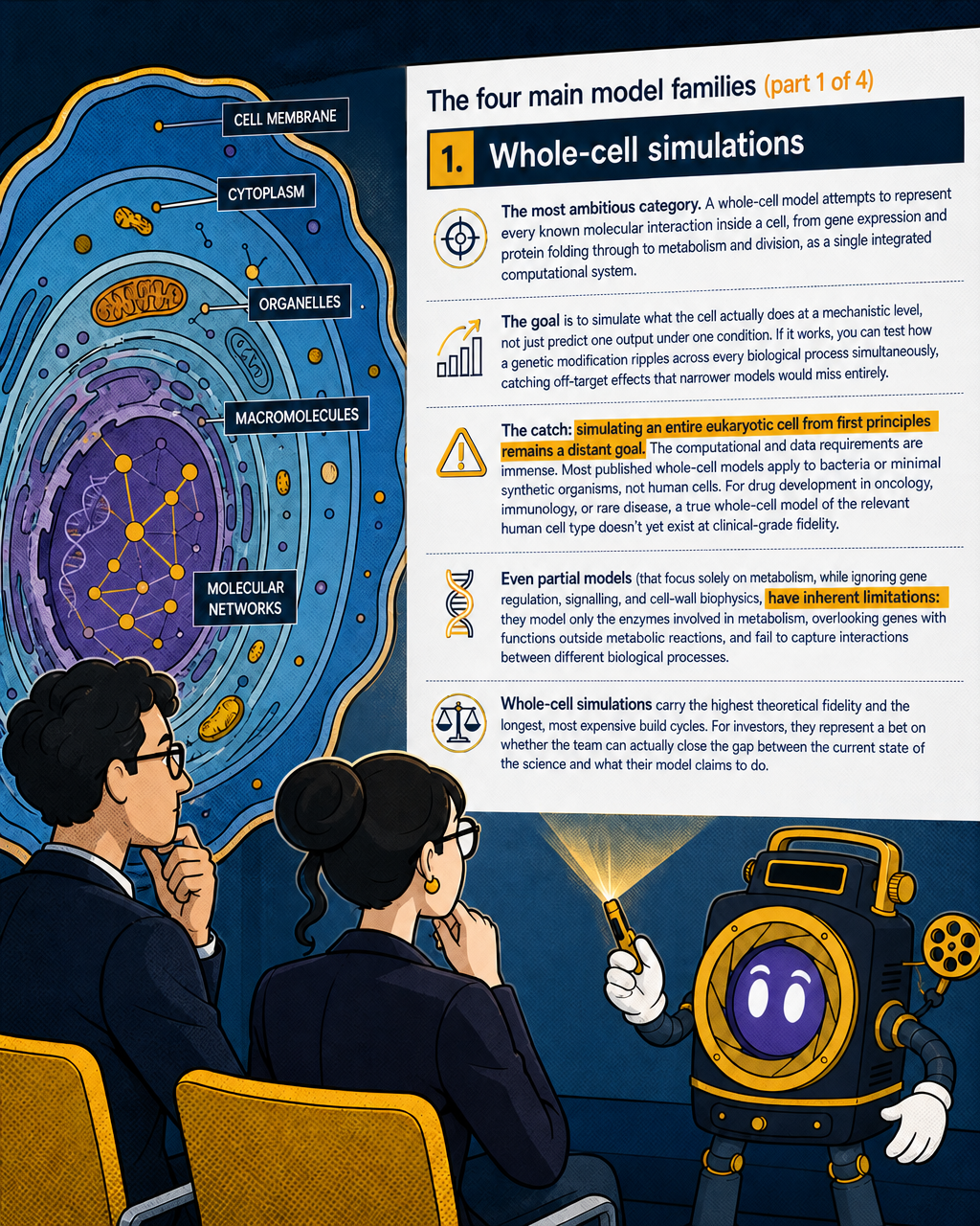 Whole-cell simulations: ambition vs. reality