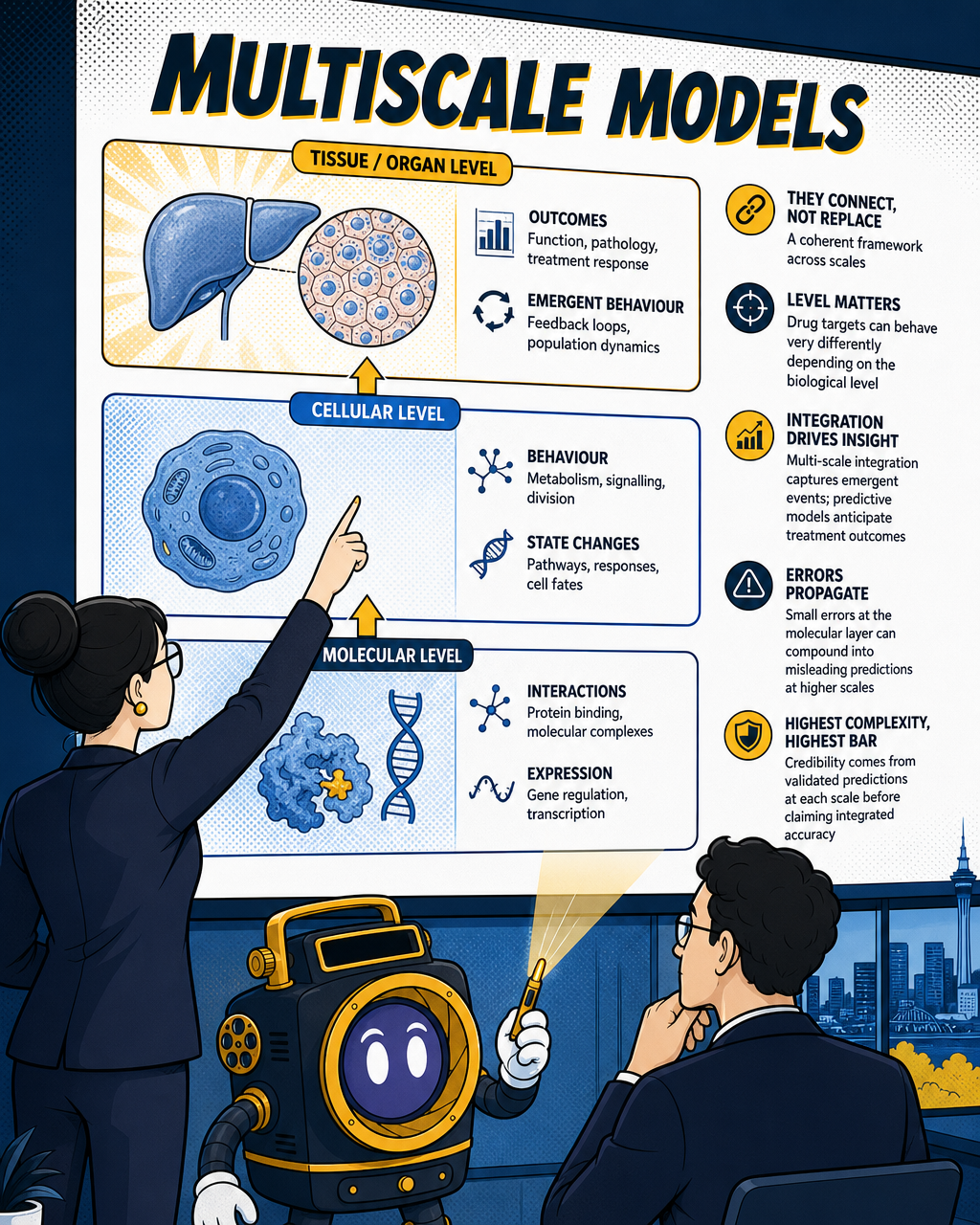Multiscale models: connecting every layer